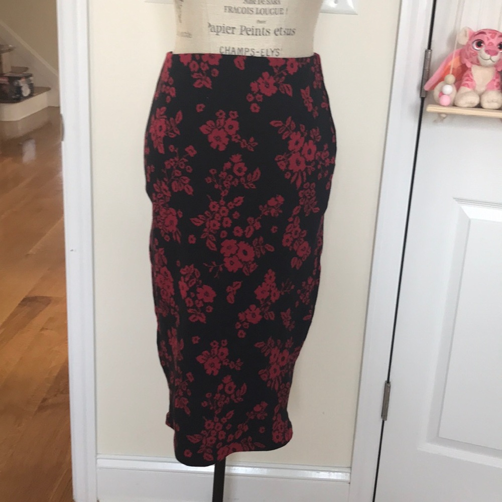 Zara Brand New Skirt